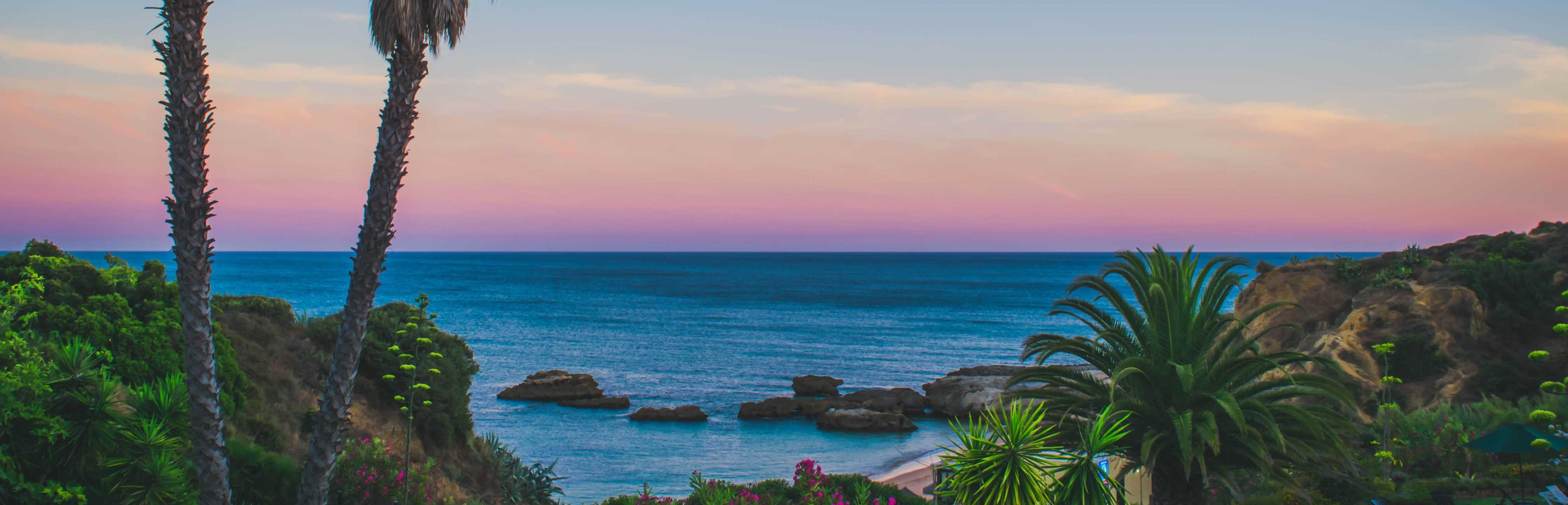 Coconut Trees and Body of Water
